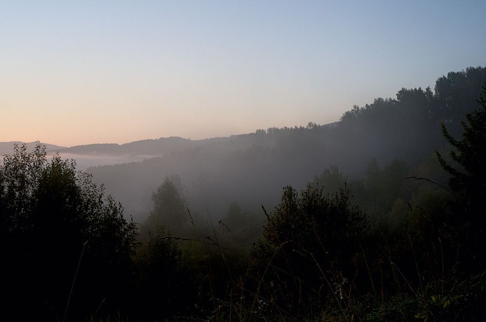 Photograph by Николай Новожилов