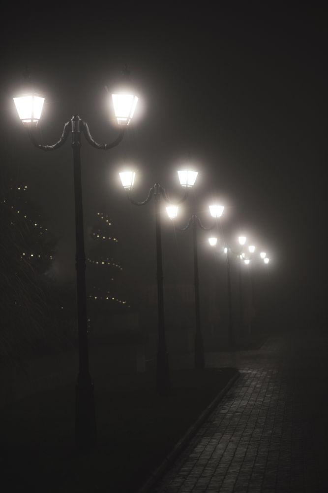 Photograph by Оксана Пономаренко