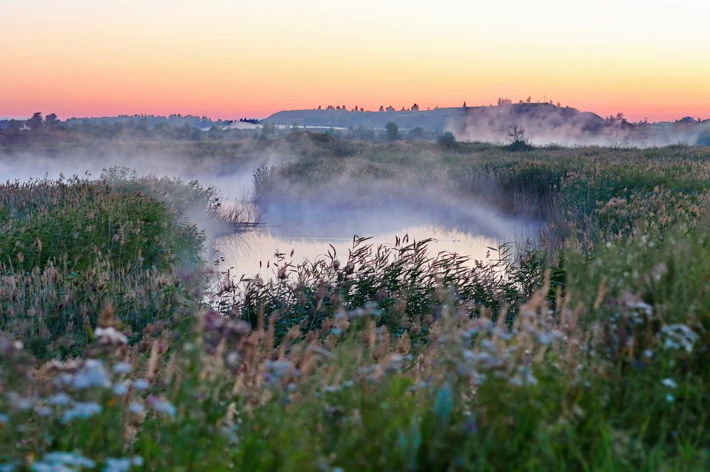 Photograph by Андрей Стародубцев