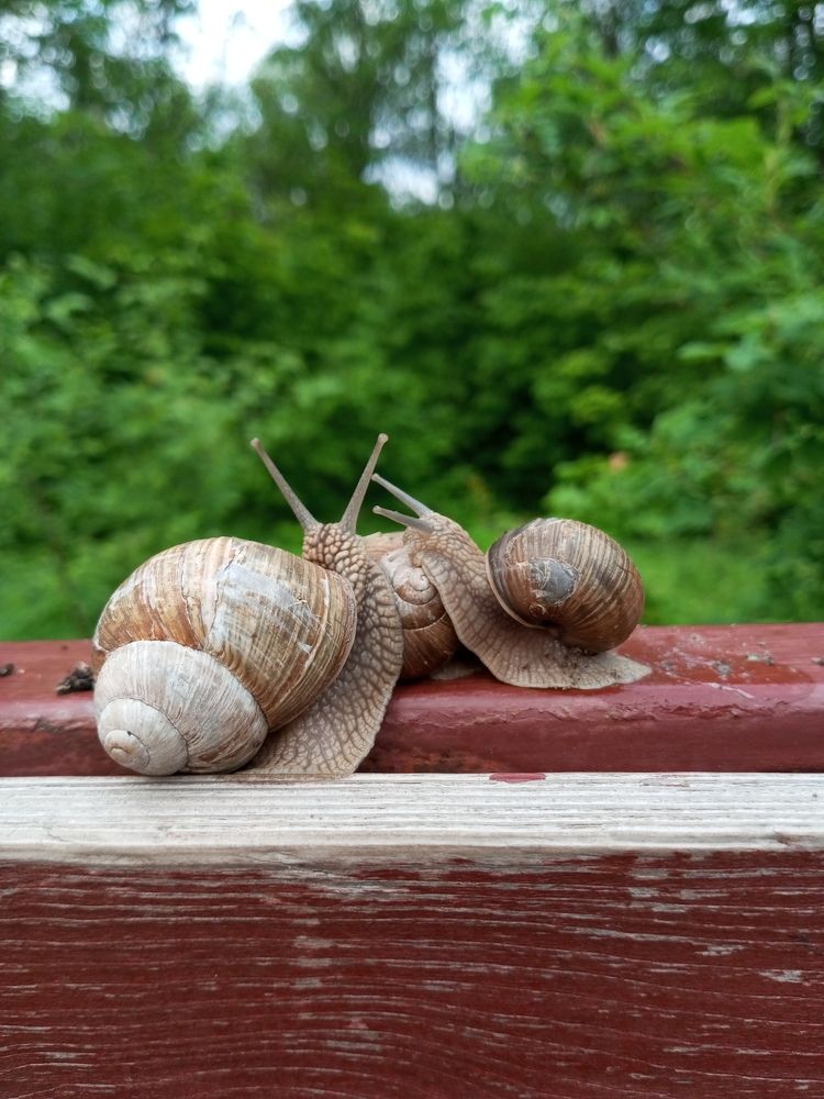 Photograph by Марина Гаврилова