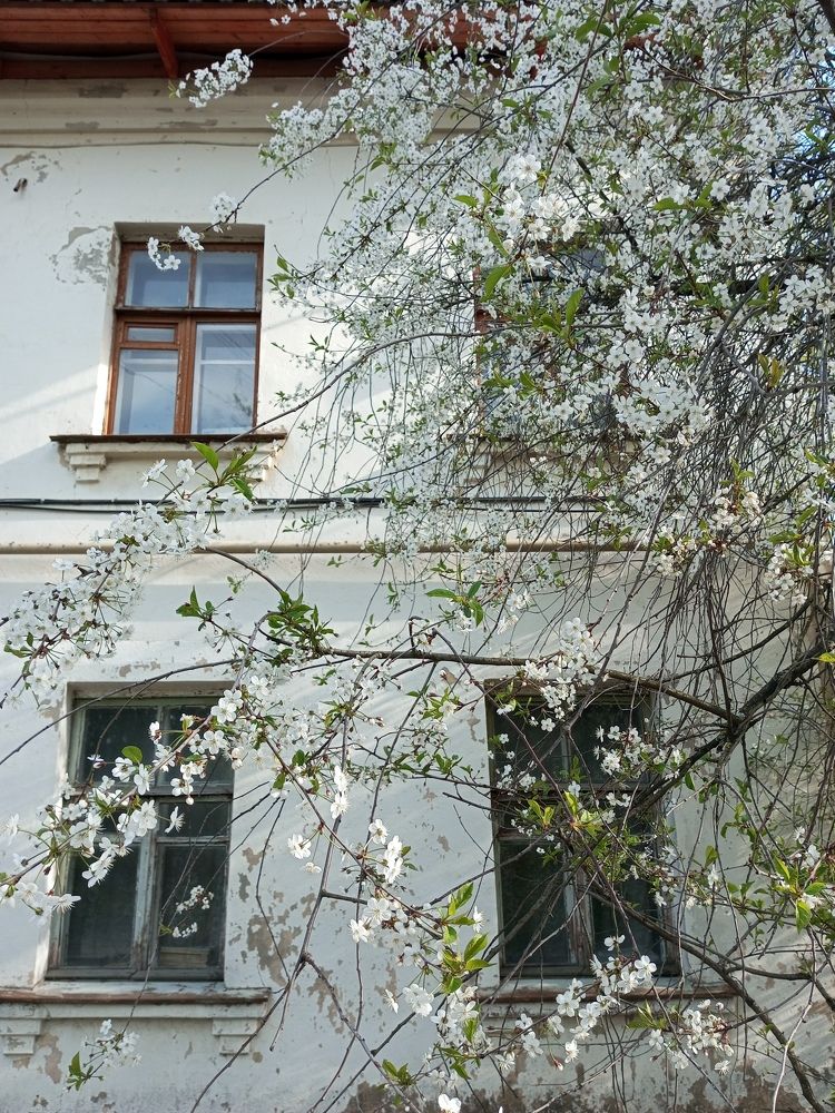 Photograph by Марина Гаврилова