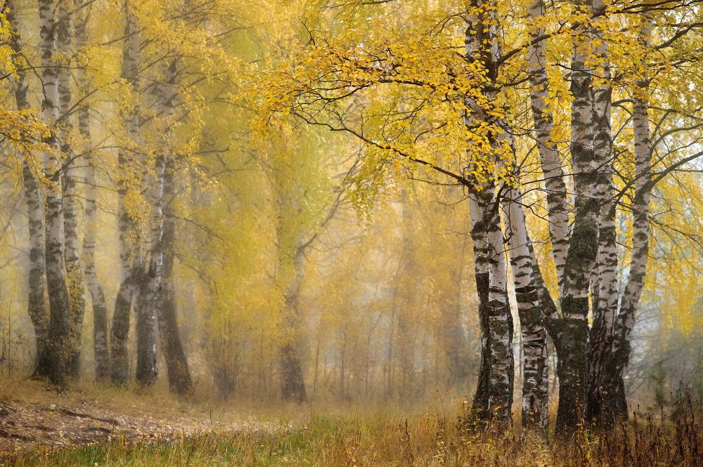 Photograph by Алексей Шехонин