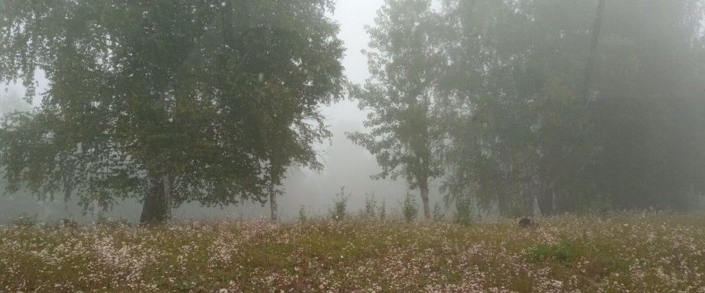 Photograph by Светлана Смирнова (Гридюшко)