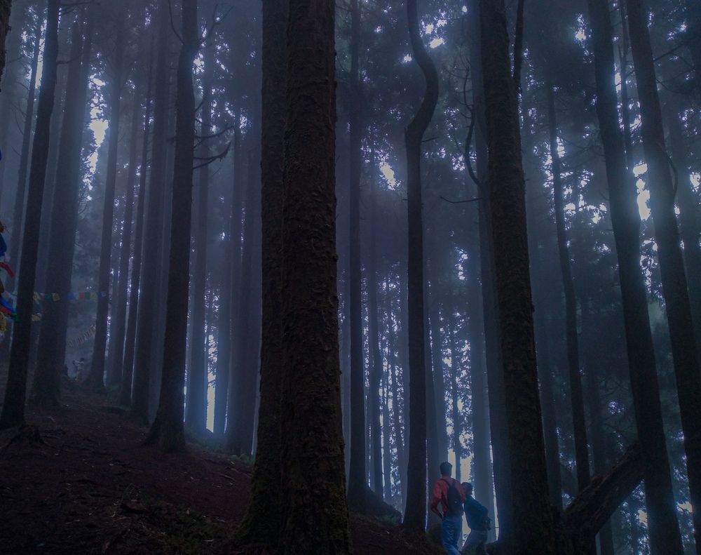 Photograph by Sanchari Nag