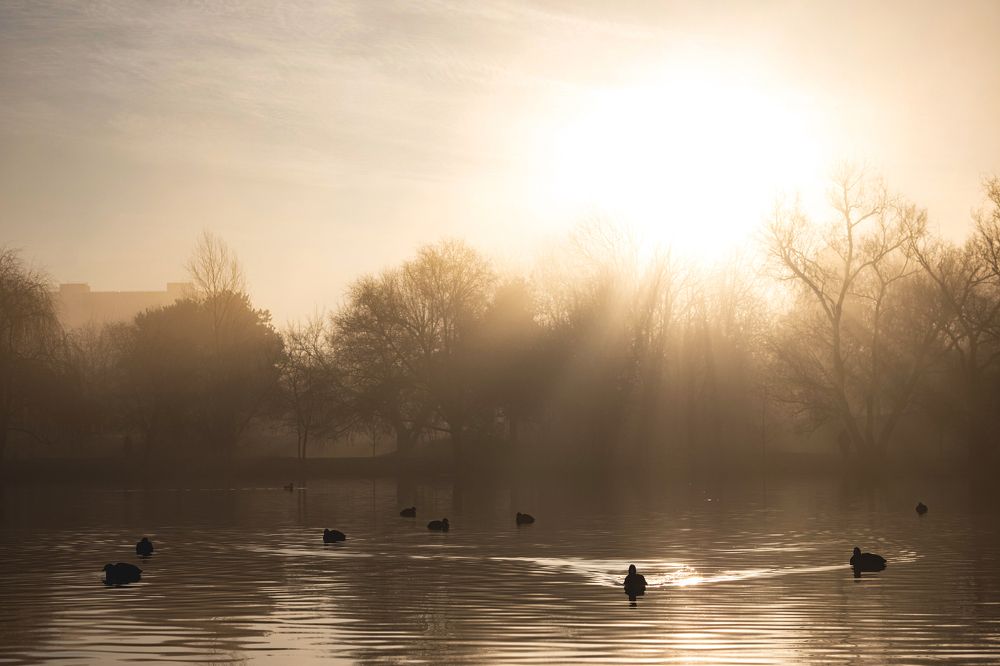 Photograph by George Sorin