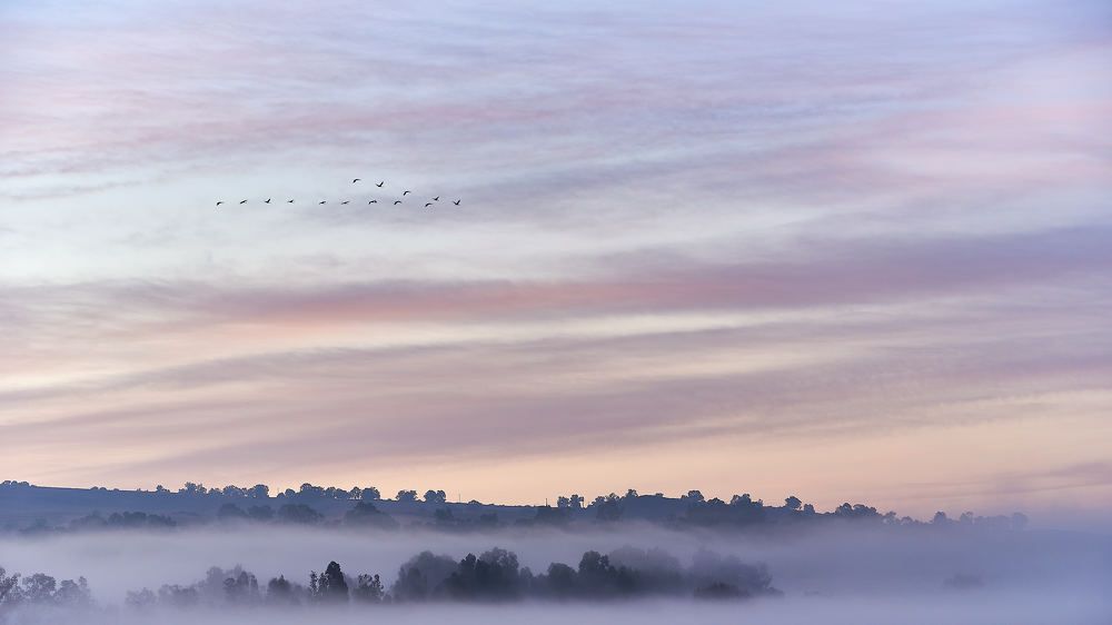 Photograph by Alexander Leshinsky