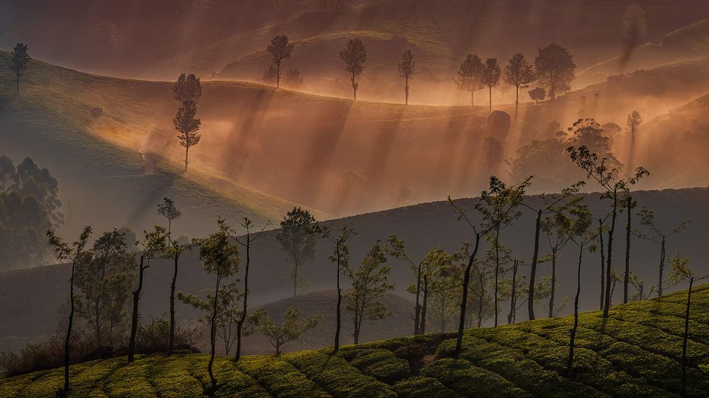 Photograph by ashok manjanath