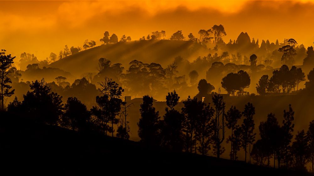 Photograph by ashok manjanath