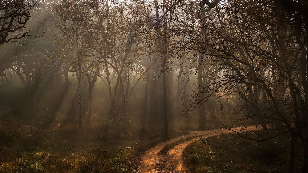 Photograph by ashok manjanath