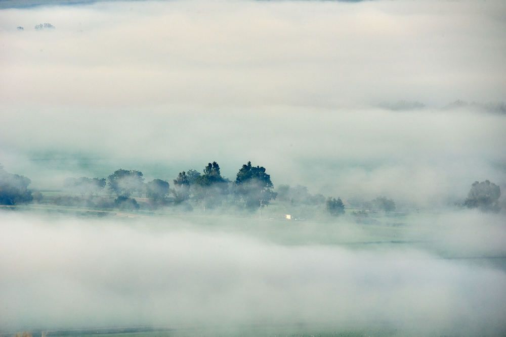 Photograph by Alexander Leshinsky