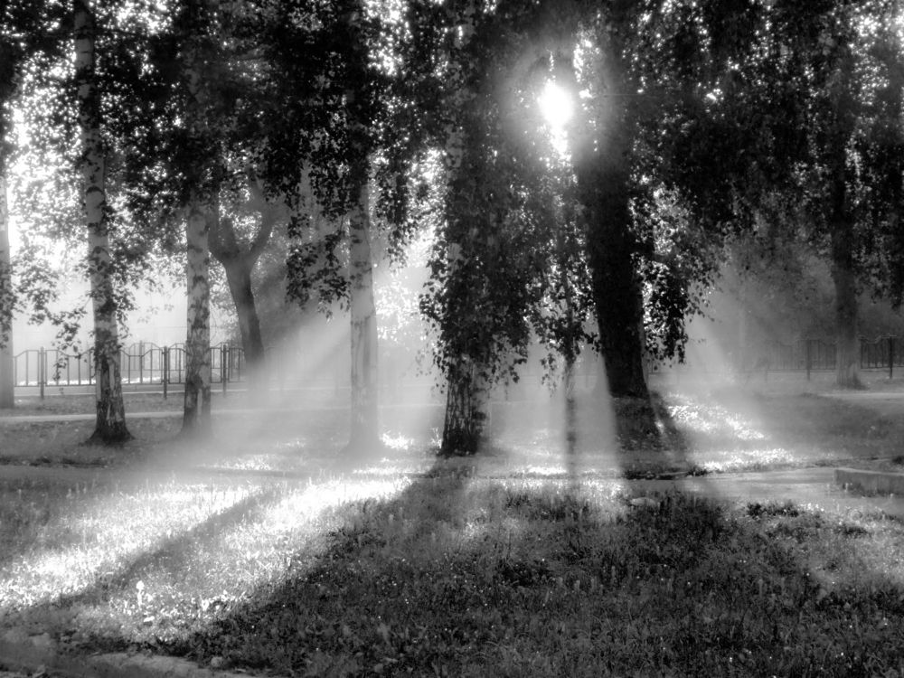 Photograph by Любовь Бусова