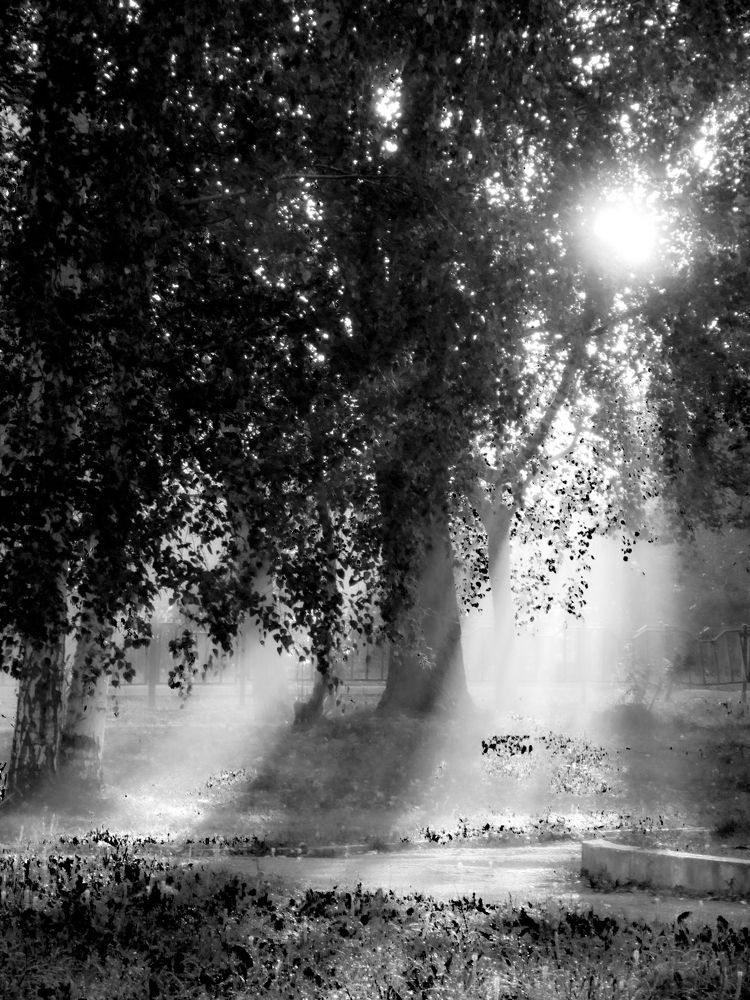 Photograph by Любовь Бусова