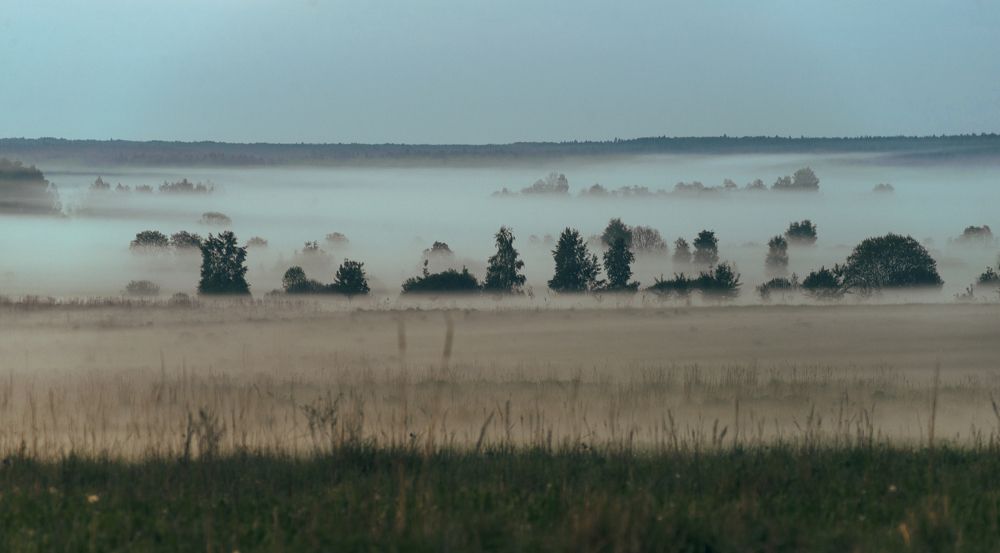 Photograph by Василий Либко