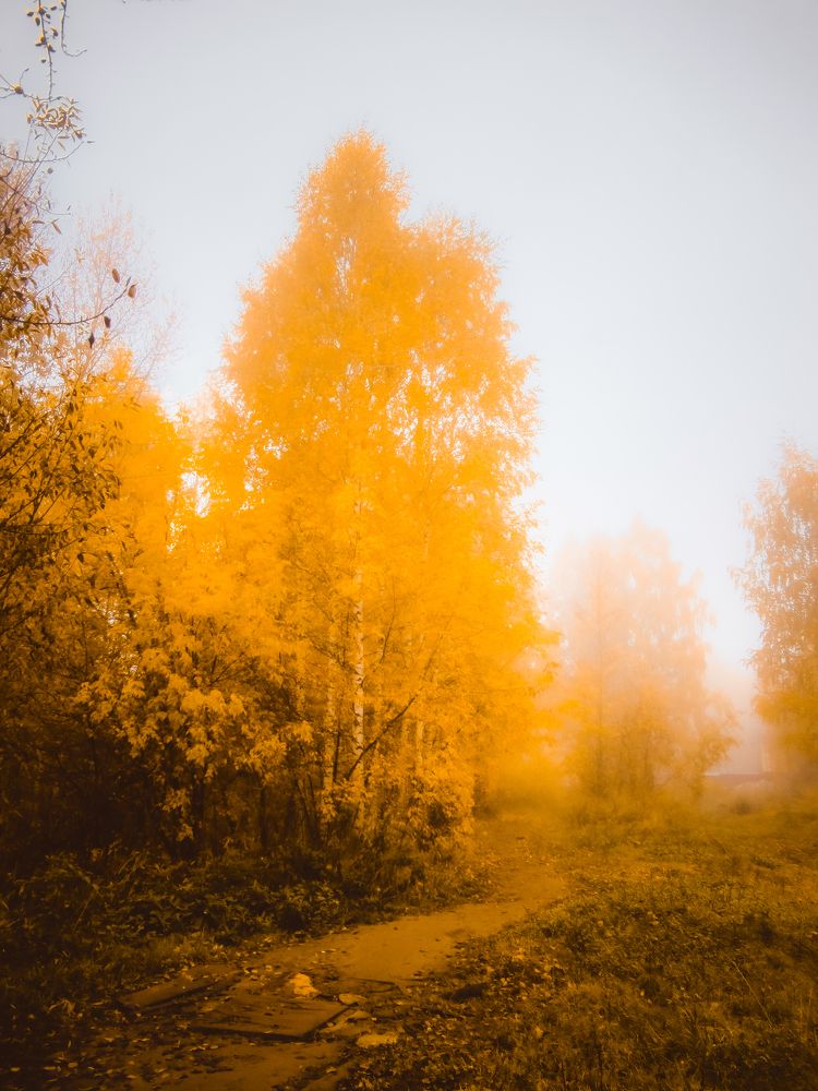 Photograph by Любовь Бусова