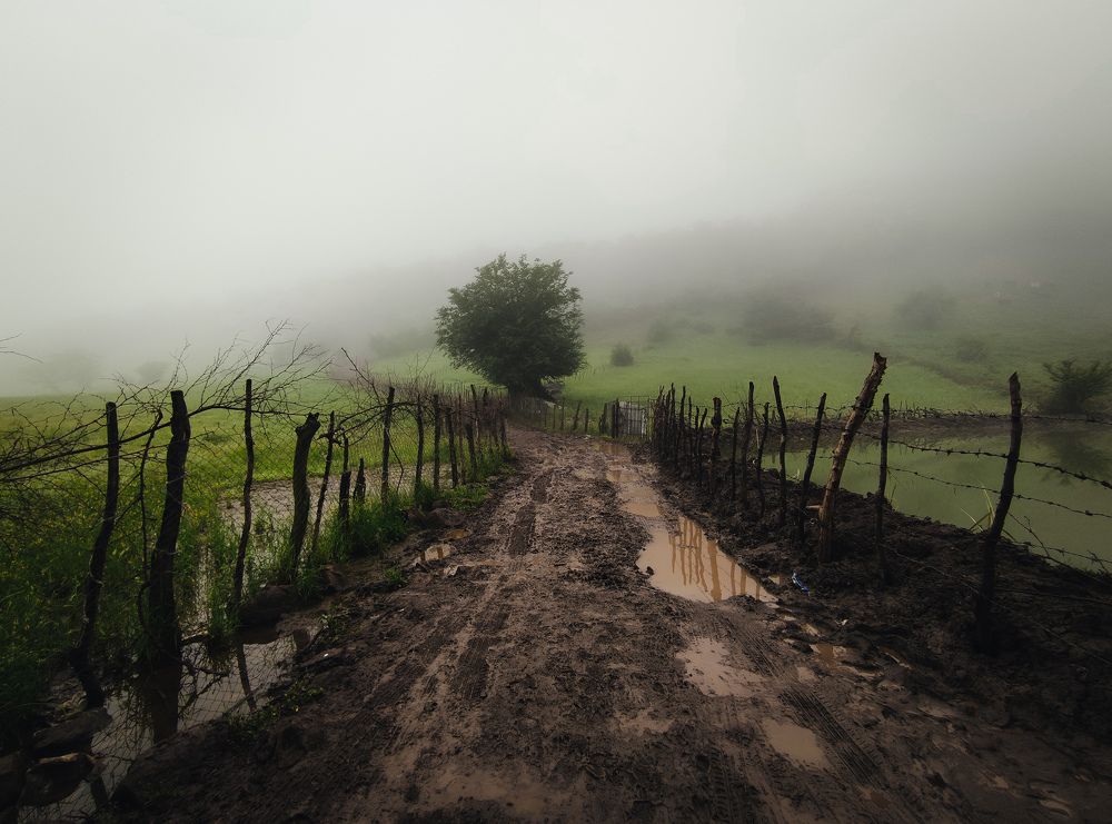 Photograph by Mohammad reza Falah