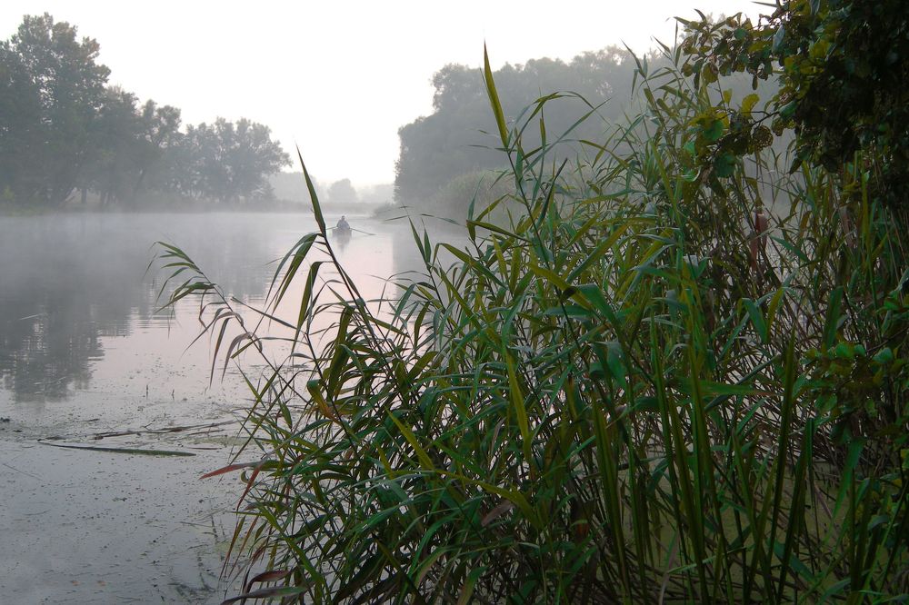 Photograph by Олег Толстунов