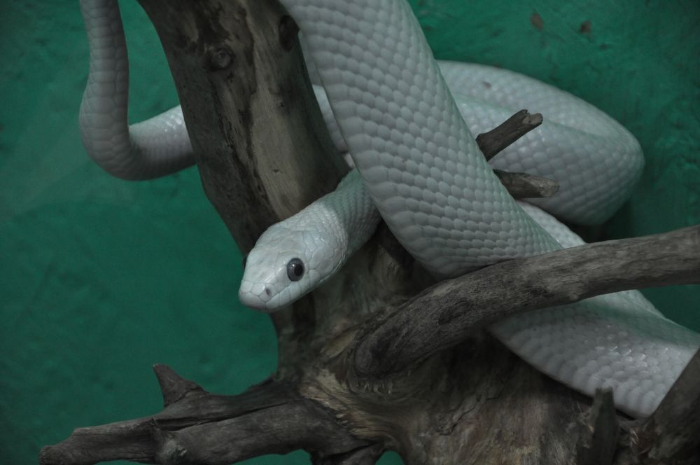 Photograph by Галина Лысых