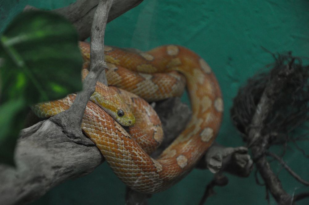 Photograph by Галина Лысых