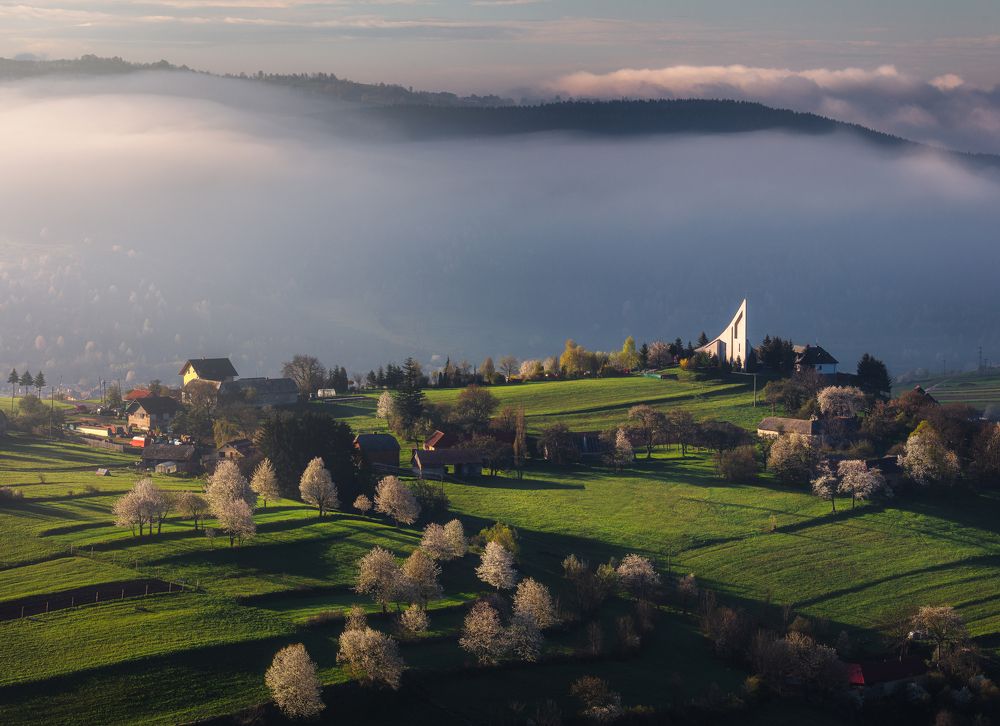 Фотография автора Adam Nedojedlý