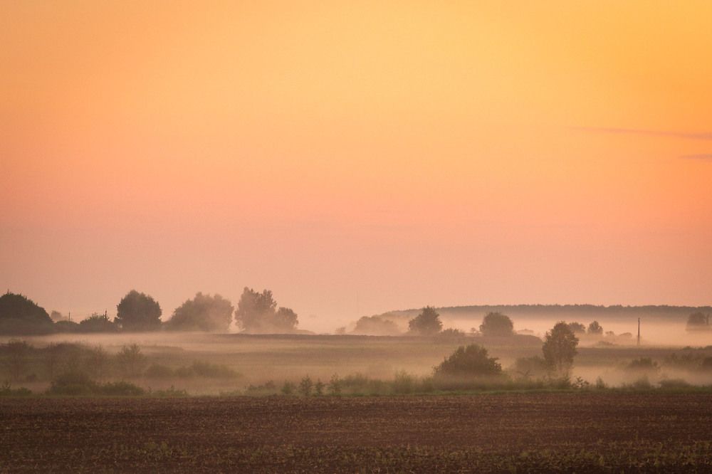 Photograph by Елена