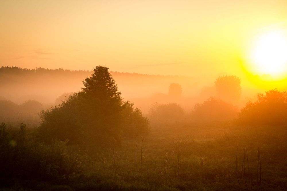 Photograph by Елена