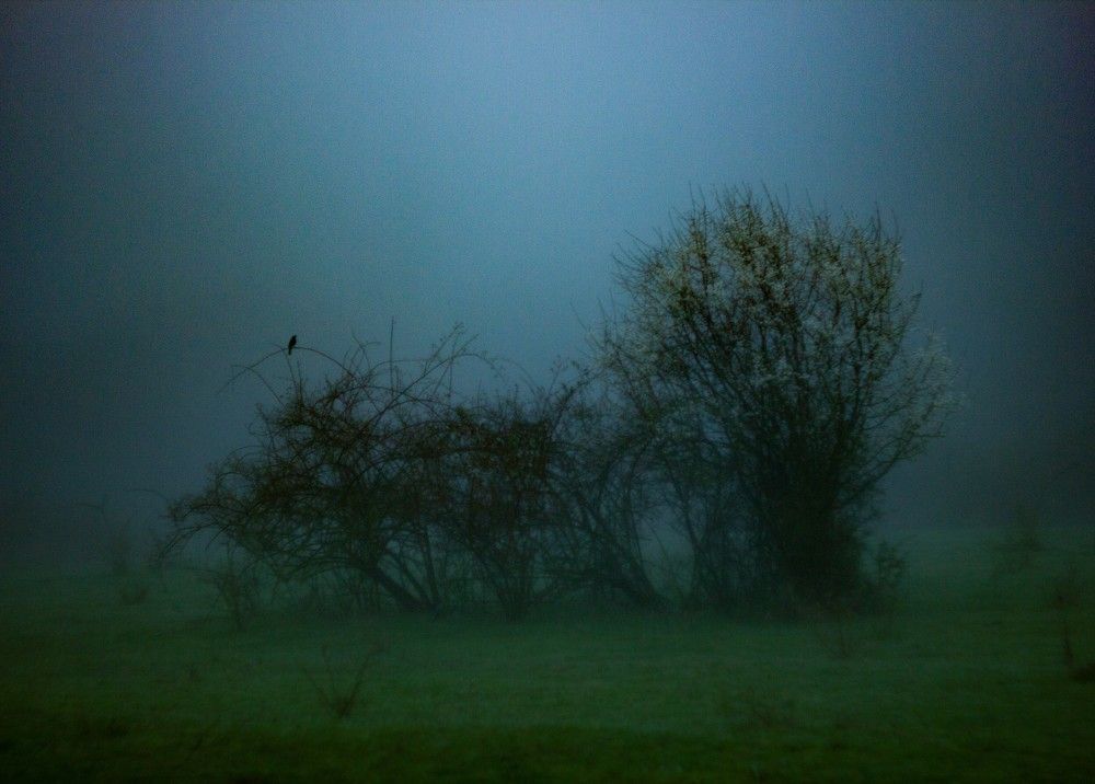 Photograph by Tamerlan