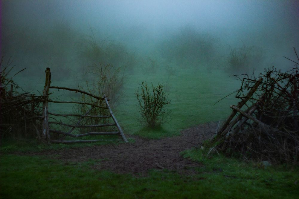 Photograph by Tamerlan