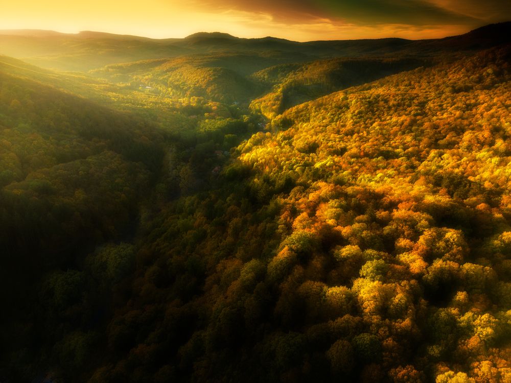 Photograph by Radovan Dziak