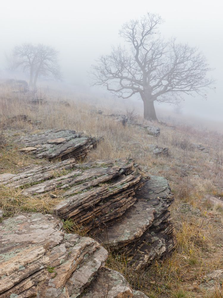 Photograph by Сергей Когда