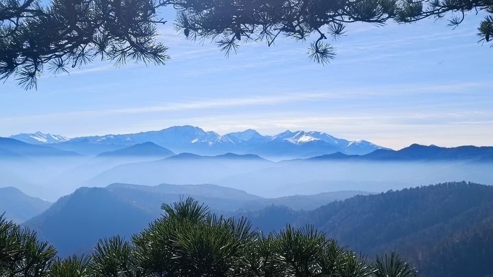 Photograph by Виталий Мартынов