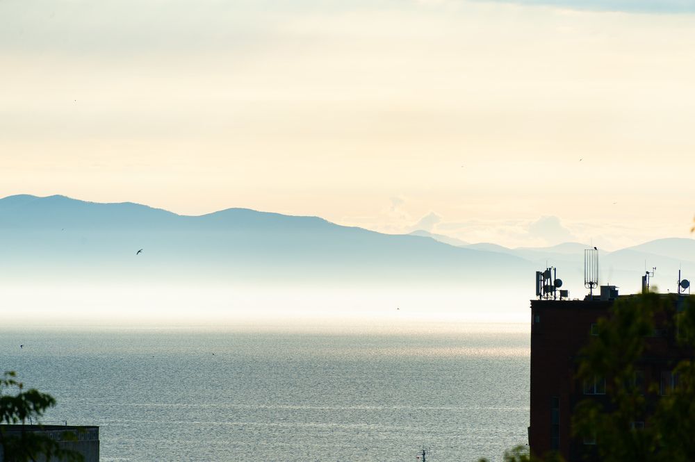 Фотография автора Дмитрий Старостин