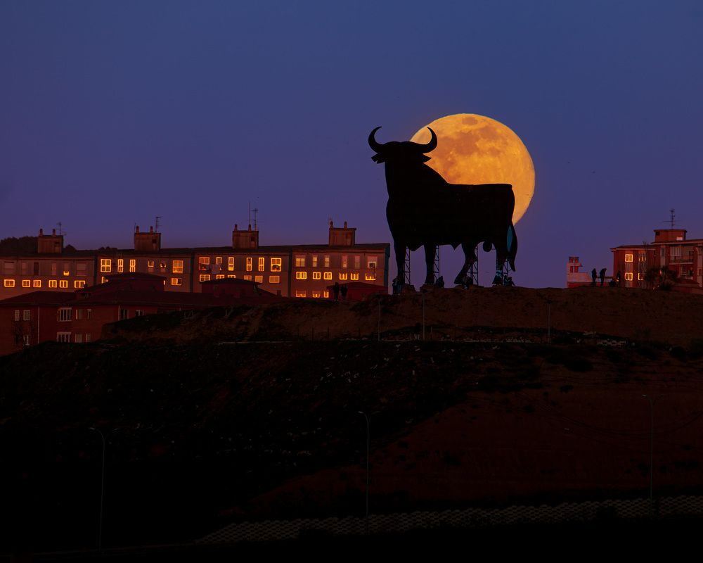 Photograph by Jose María Beneitez Silvo