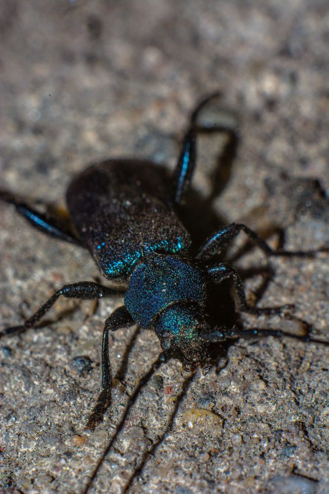 Photograph by Алексей Ильин