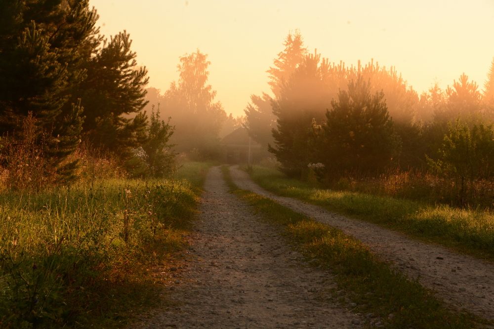 Photograph by Наталья