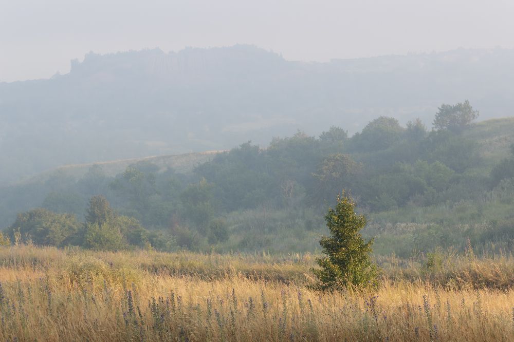 Photograph by Сергей Когда