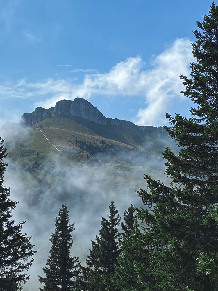 Photograph by Marina Odintsova