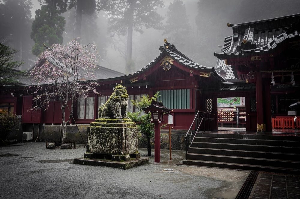 Photograph by Арина Стрябчева