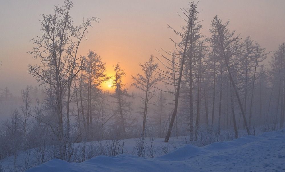 Photograph by Владимир