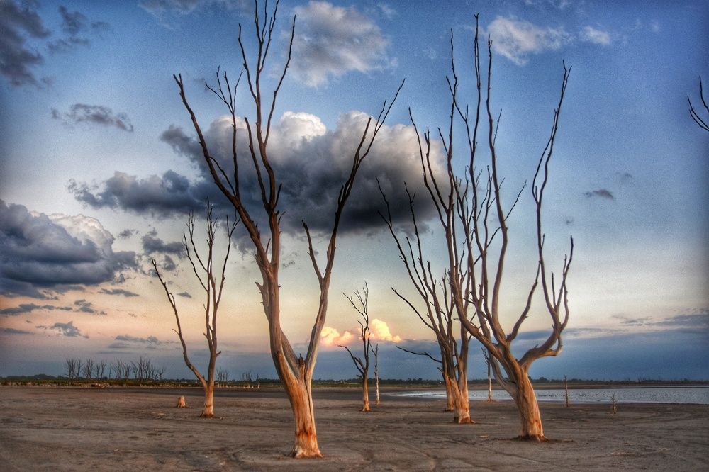 Photograph by Beatriz Games