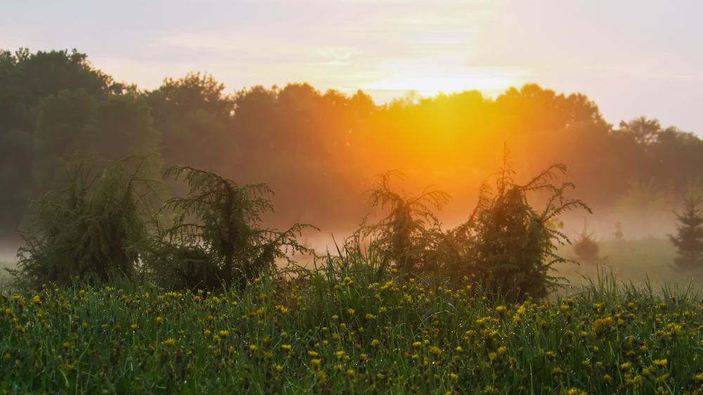 Photograph by Olga Strogonova