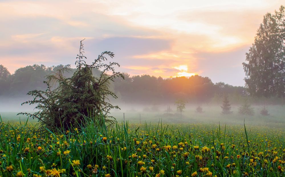 Photograph by Olga Strogonova