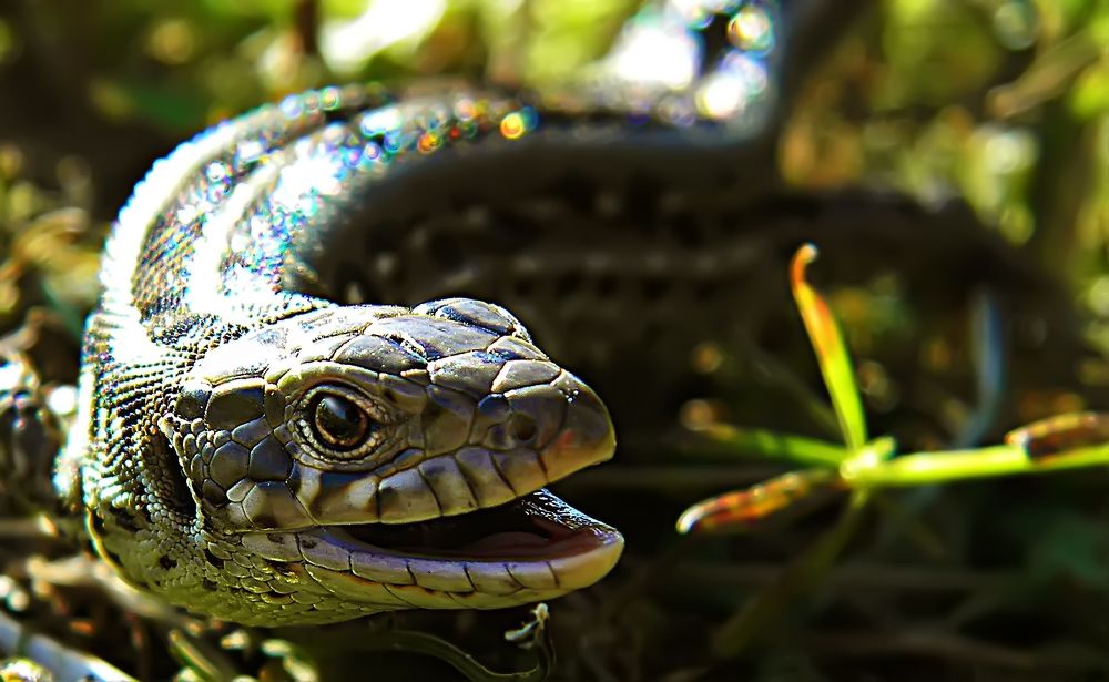 Photograph by Алексей Парамонов