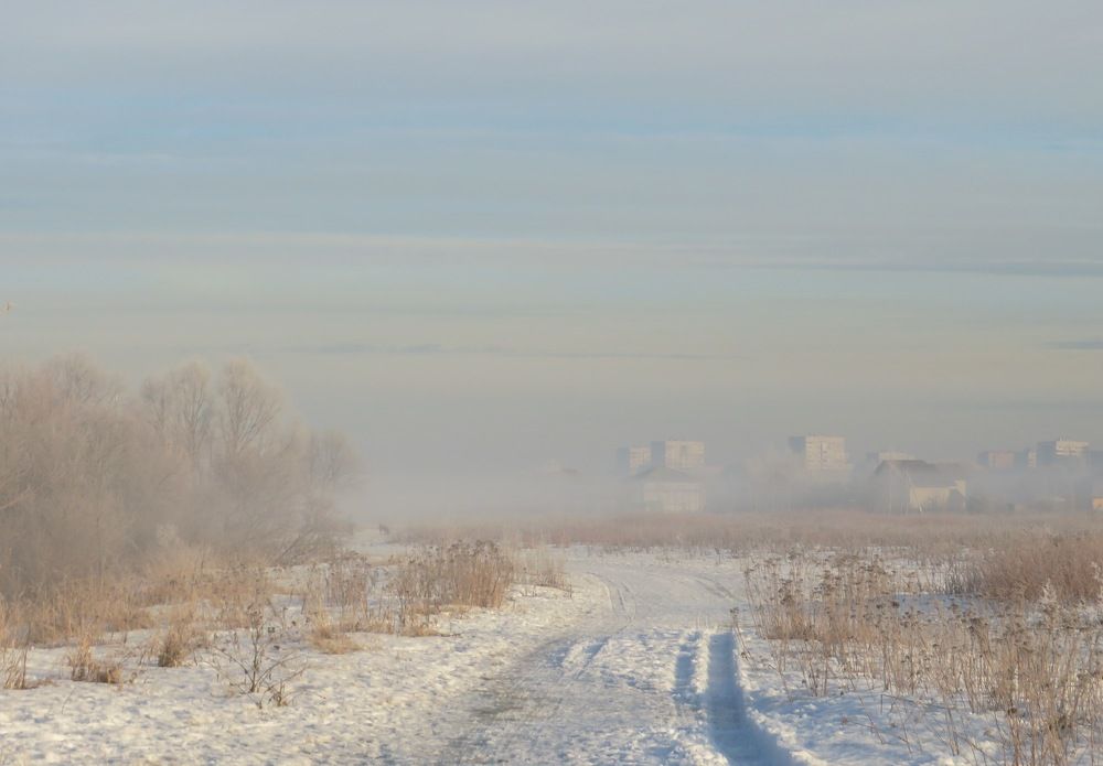 Туманное утро за городом