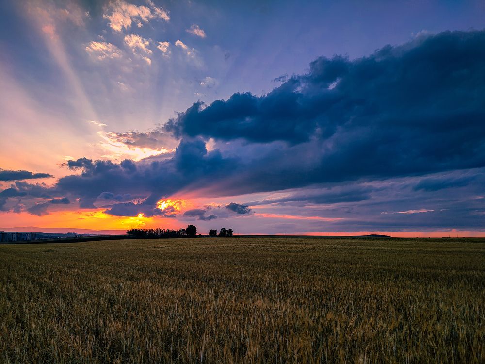 Photograph by sadouni zaki