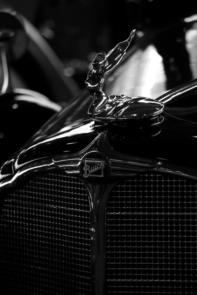 Photograph by Aleksandra