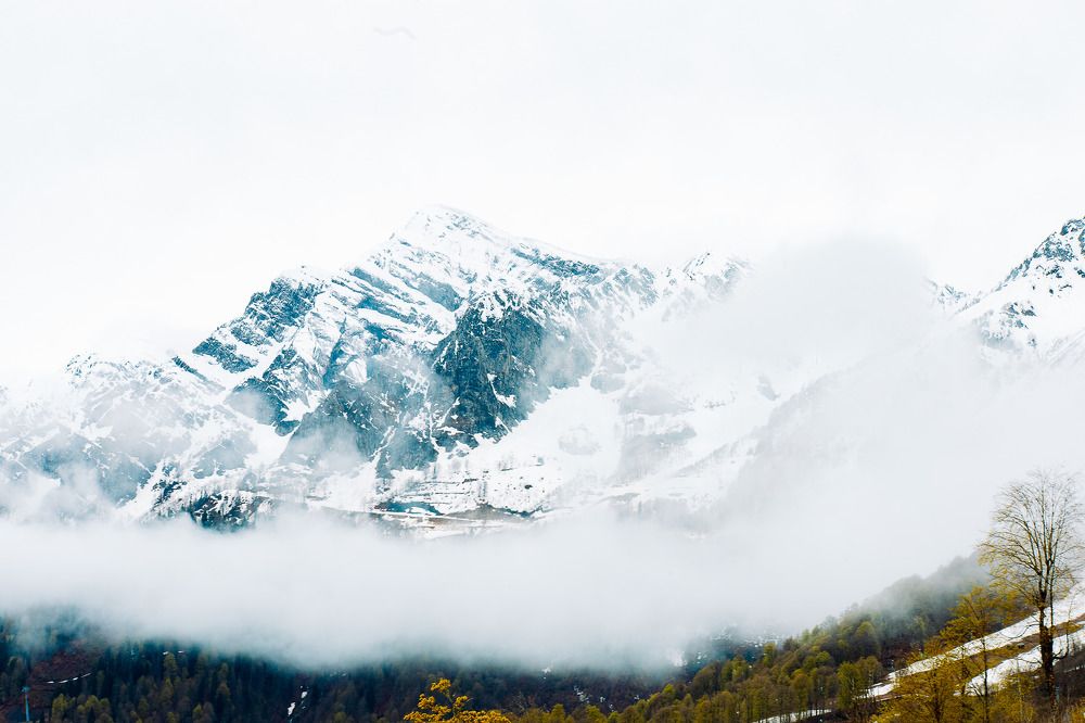 Photograph by Дмитрий Бровко