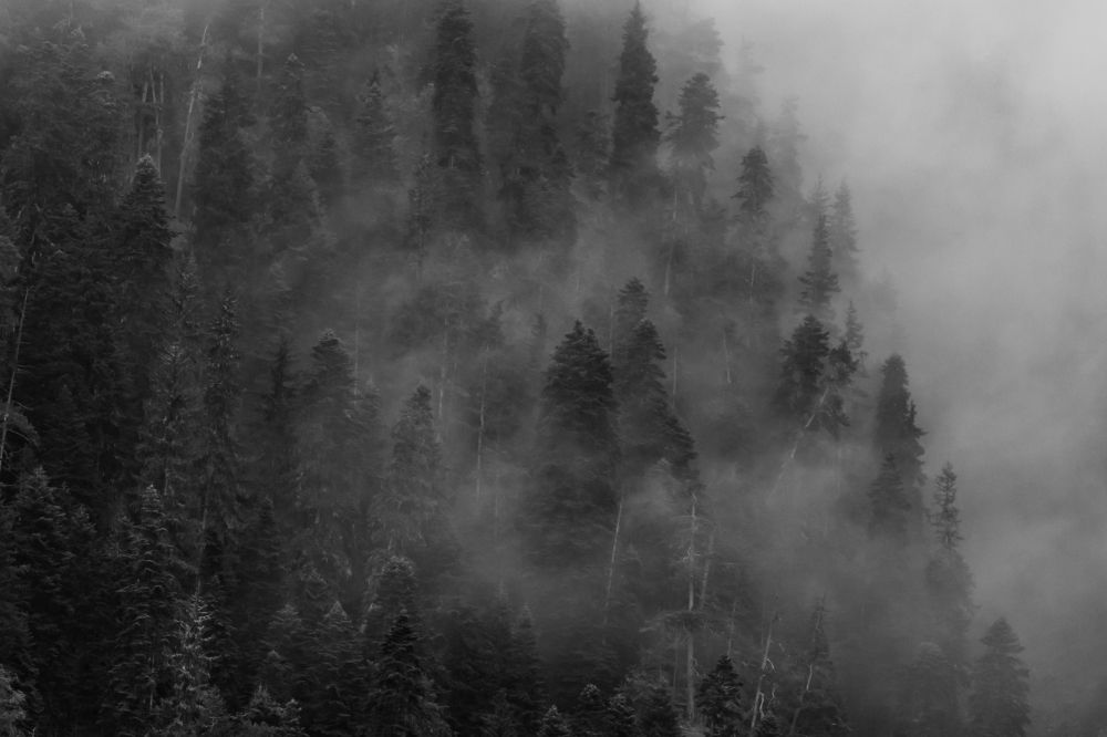 Photograph by Александр Иванов