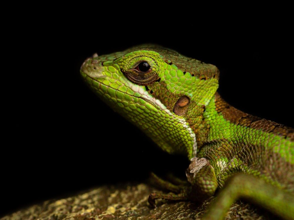 Photograph by Armands Andžāns