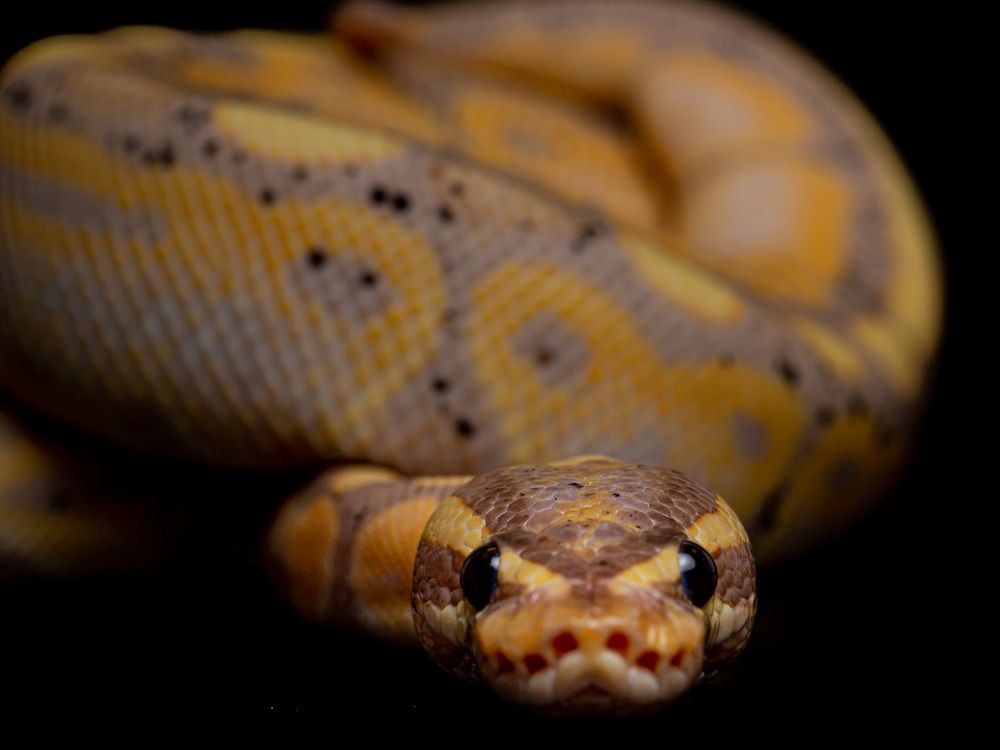 Photograph by Armands Andžāns