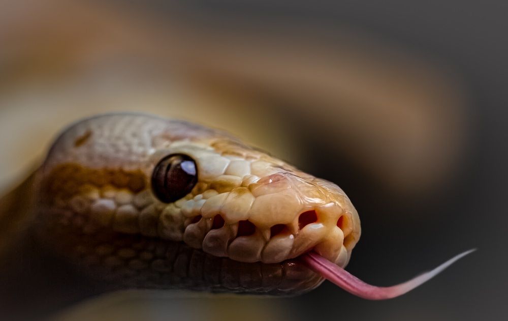 Photograph by Armands Andžāns